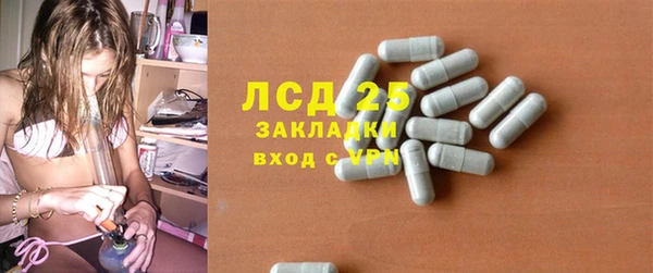 PSILOCYBIN Беломорск