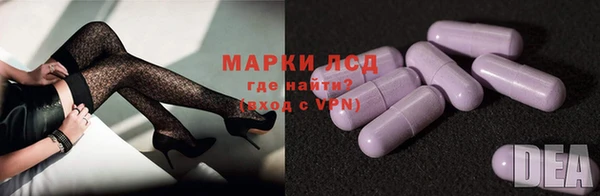 PSILOCYBIN Беломорск