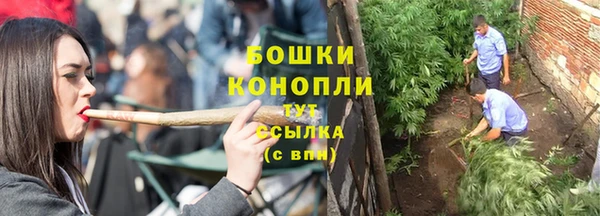 дживик Богородск