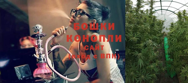 дживик Богородск
