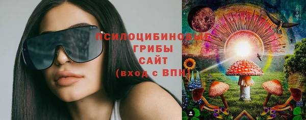 PSILOCYBIN Беломорск