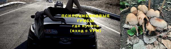 a pvp Богородицк
