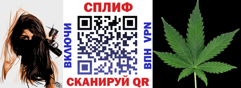 МАРИХУАНА конопля  Приволжский 
